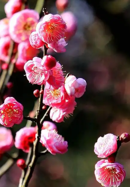 090809180.png image.png
