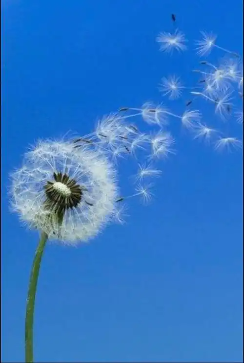 170603987.png image.png
