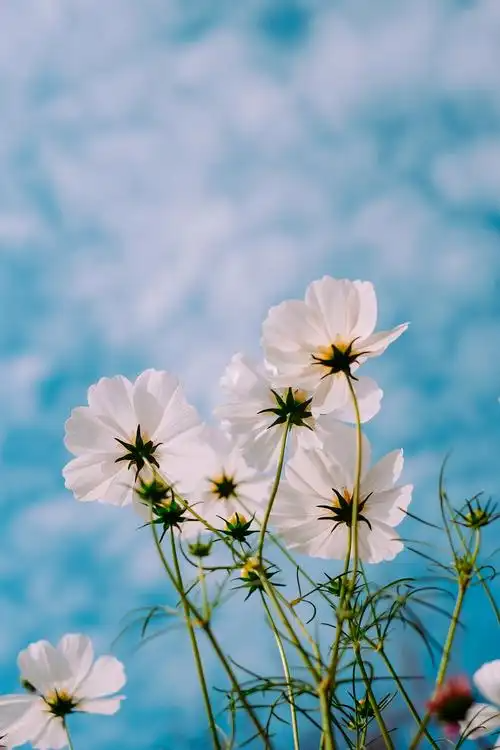 104807217.png image.png