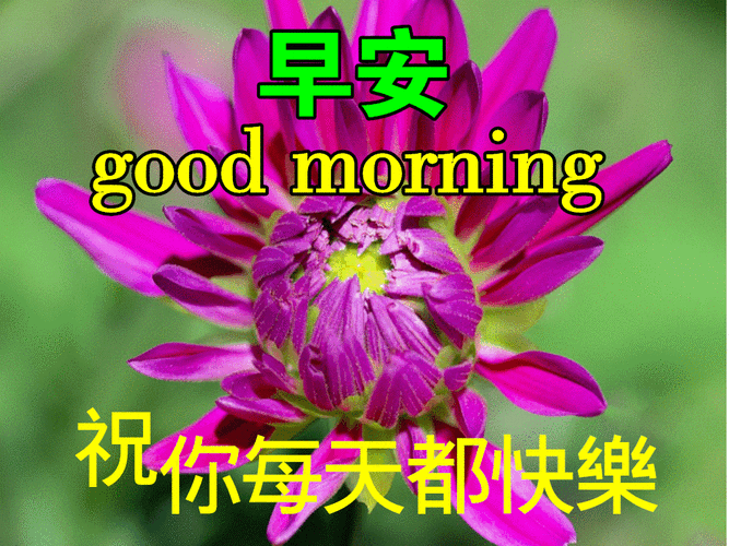 u=2339505150,167012286&fm=253&fmt=auto&app=120&f=GIF.gif