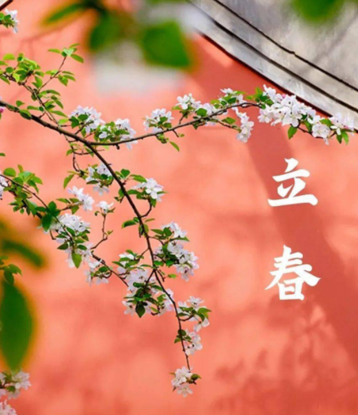 213804897.png image.png