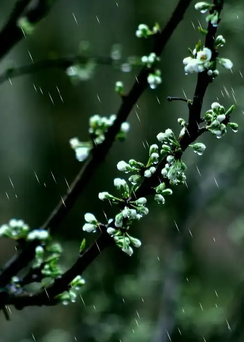 124603233.png image.png
