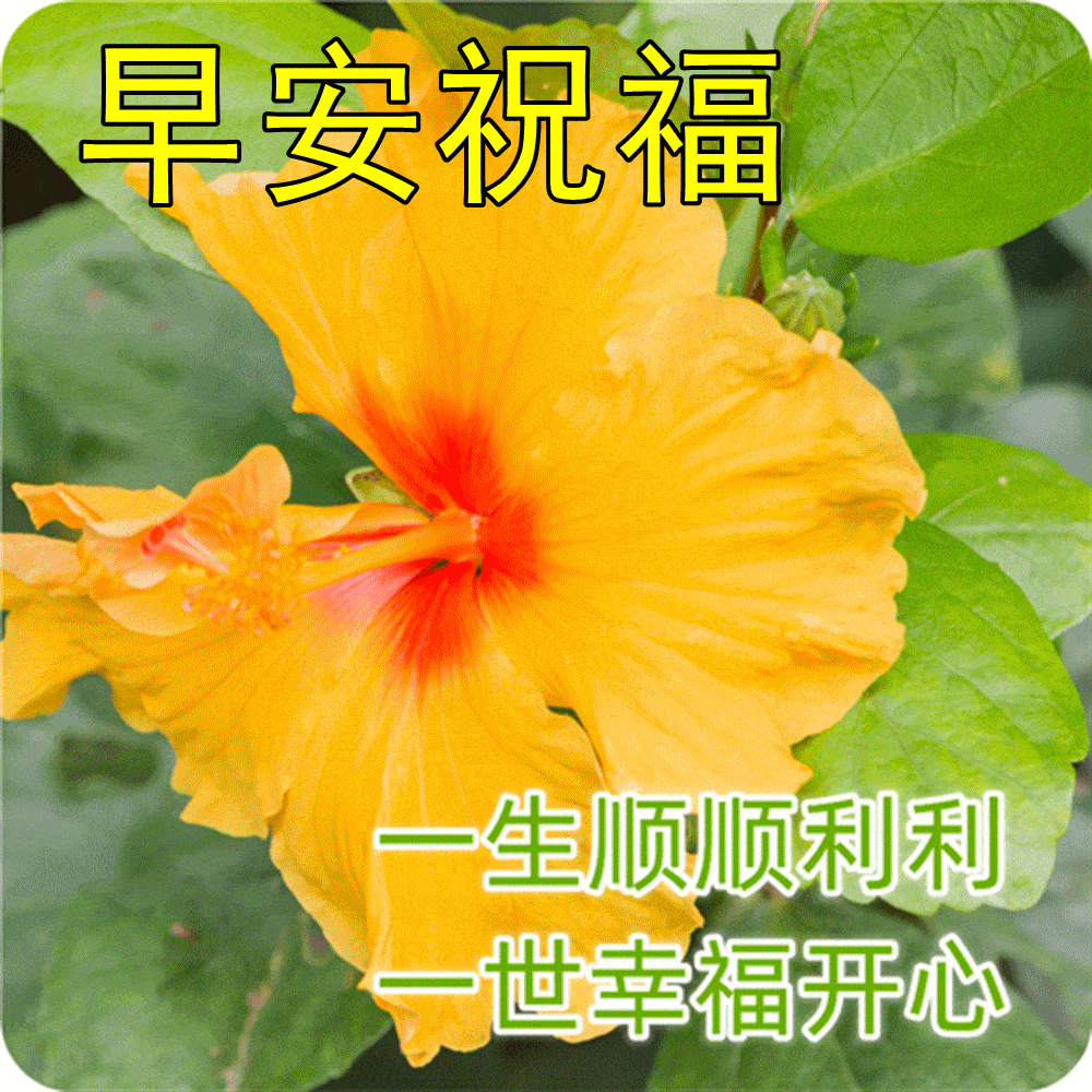1420d64394e54b3ca06a9a6500cbf83a.webp