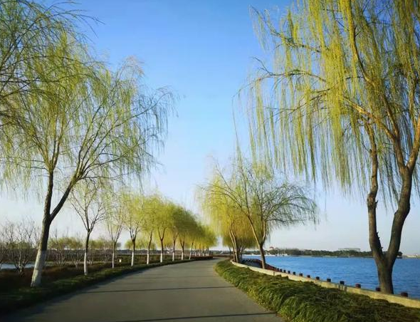 043108720.png image.png