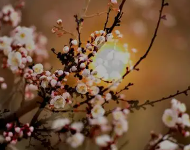 191309830.png image.png