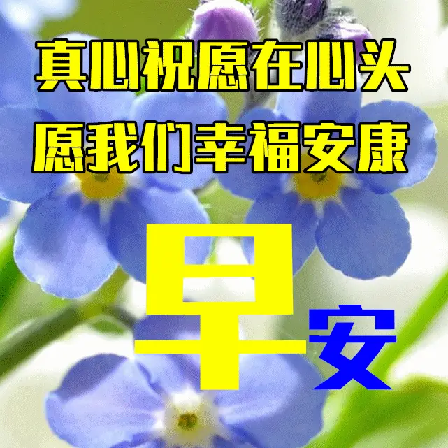4db587d1ee1e4b238a9f5b0250b4a94e.webp