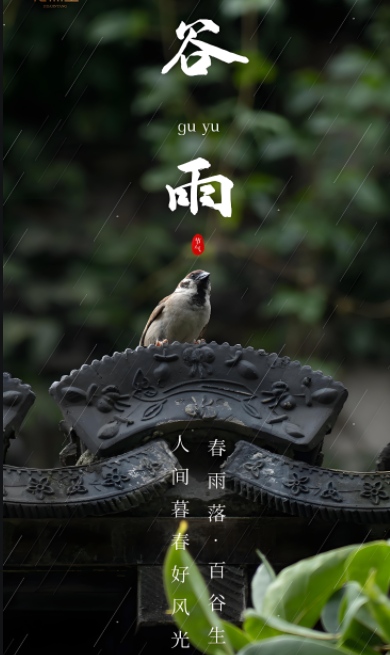 013306654.png image.png