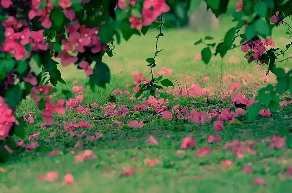 125809568.png image.png