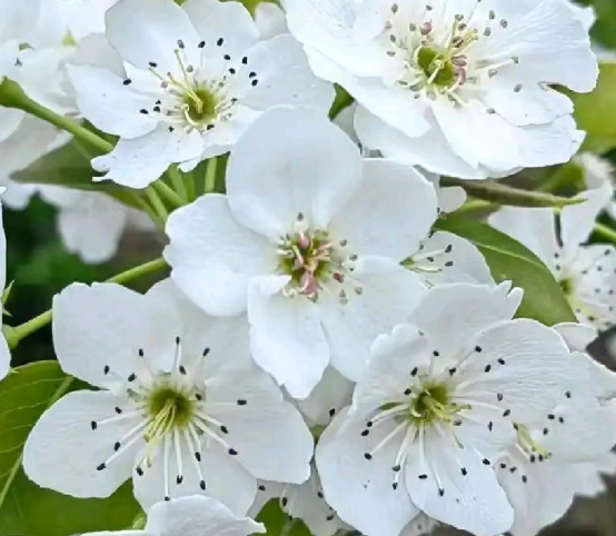 060508422.png image.png