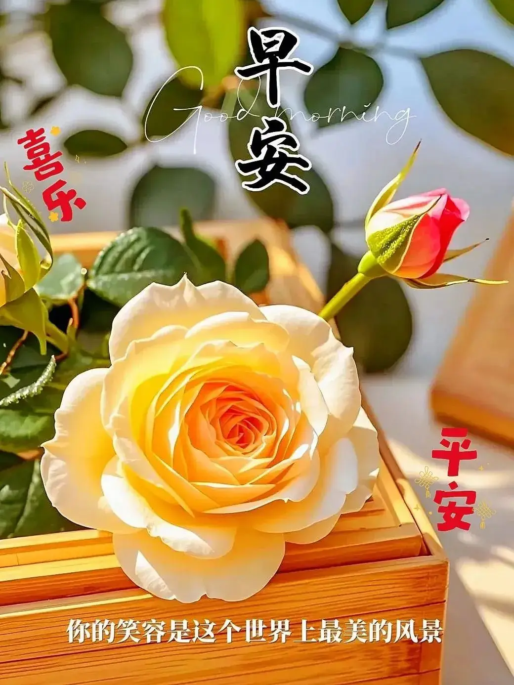 32e8153496a144c4a995c30049169c9f.webp