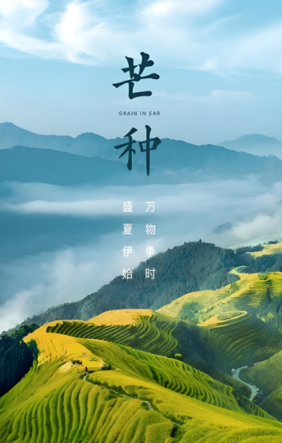 221505114.png image.png