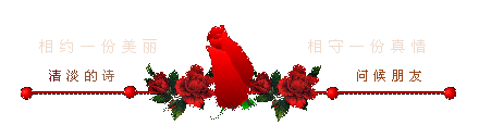 wKgCG1716MmAf9qrAAHyXQYlSD0836.gif