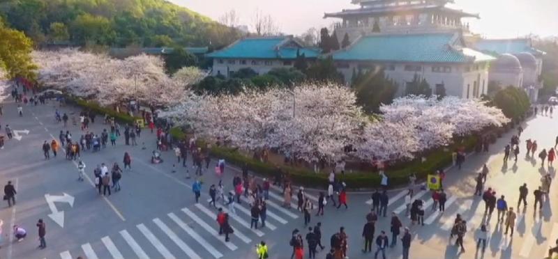 Screenshot_20210315_181641_com.tencent.mm_edit_26858888883399.