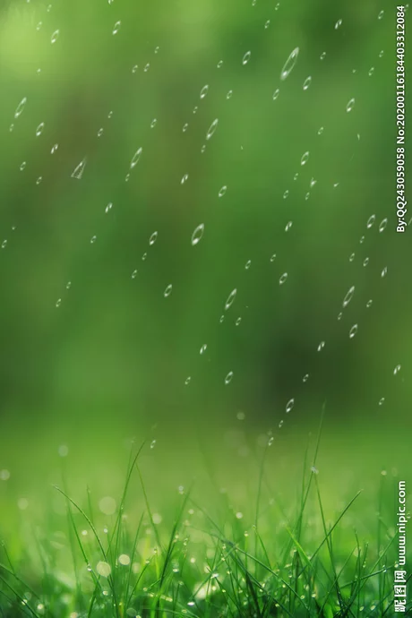 t01f8a370a32c70f0bd.