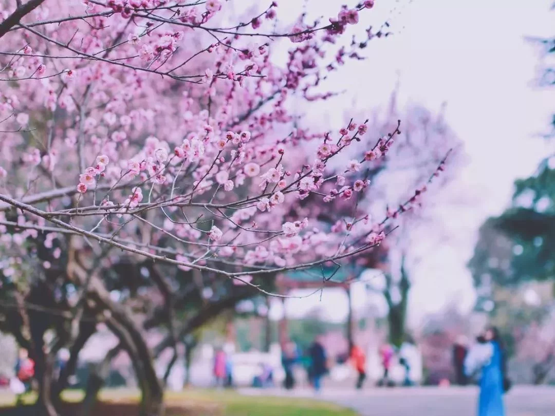 t0146912a5700de3bb3.