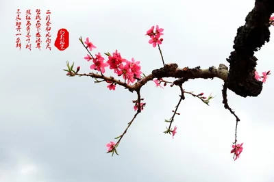 t01e2e63ccb33825159.