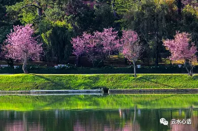 mmexport7448c413a43aa8d2c2ddb6afb4c25078.