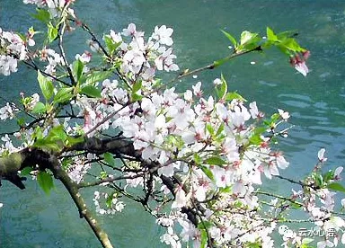 mmexport0236a5c496394796421db53d11f221e1.