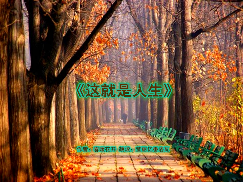 timg (27)_鍓湰.jpg