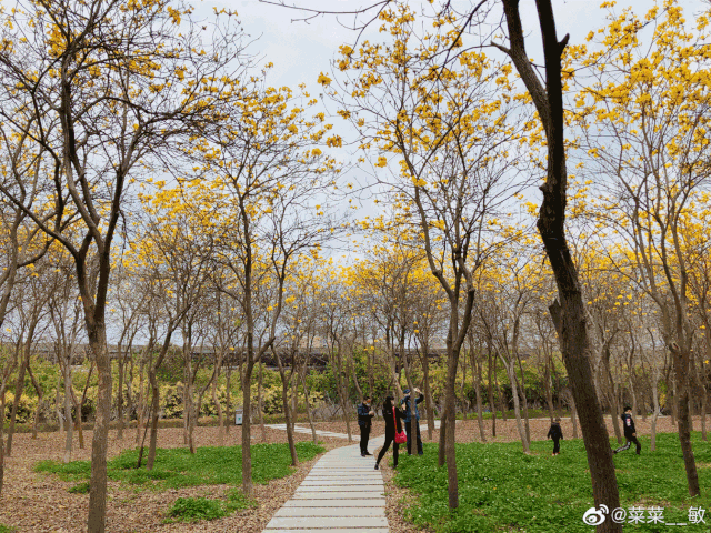 t01419a4d46dcf48d42.