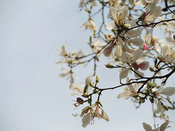 t012dd59c114a3961bc.