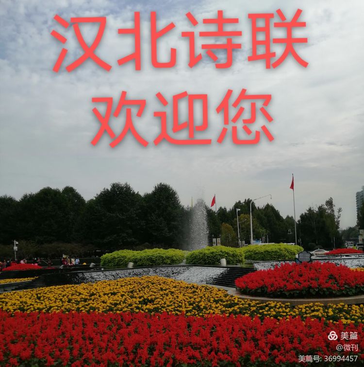 mmexporta7b390289c5a3ec612b0a2c7d0a2d523.