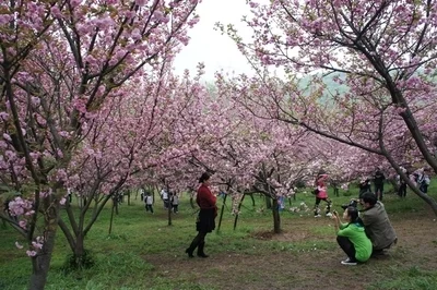 t014a412db513f24386.