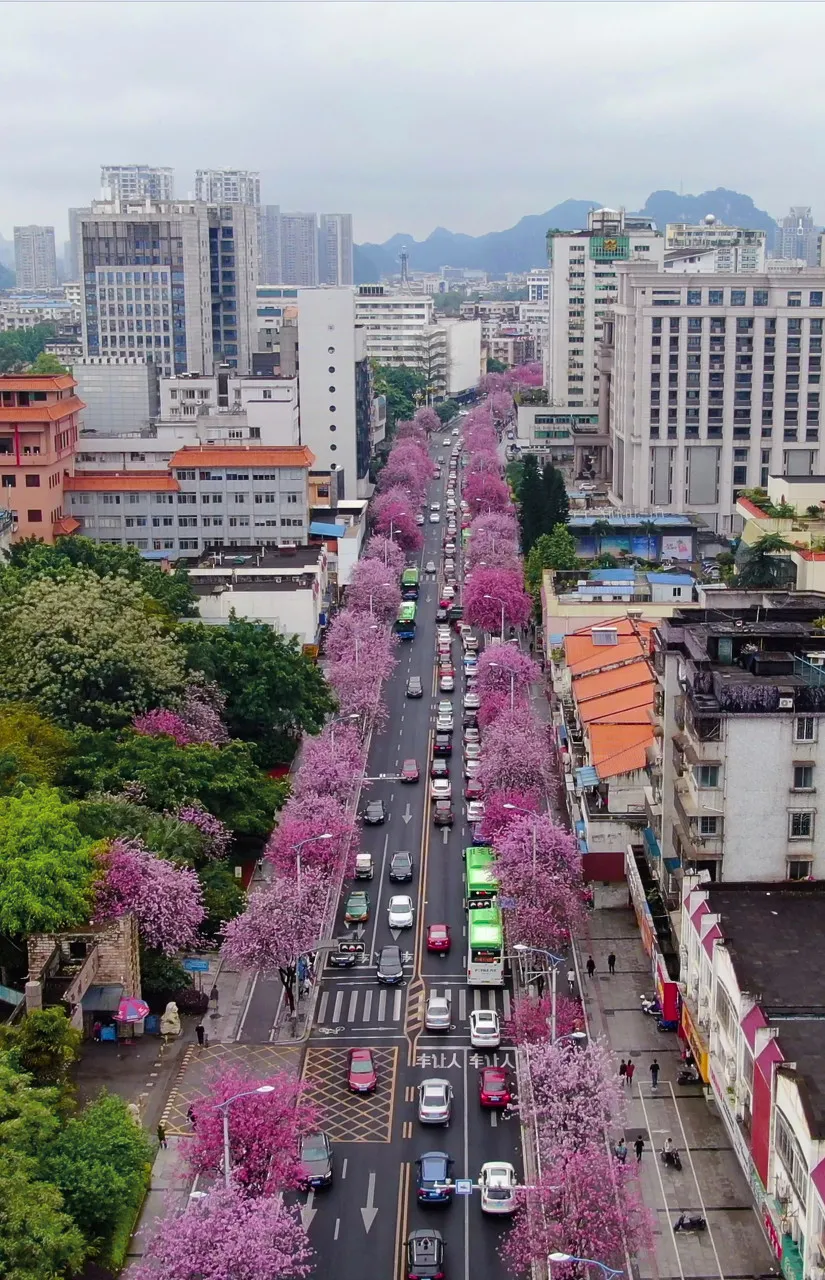 mmexporte1c16e5073baa478aa0d439f10c62a20_1617332930899.