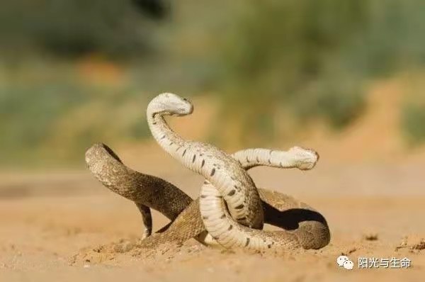 1617853162855088441.jpg 寰俊鍥剧墖_20210408113914.jpg