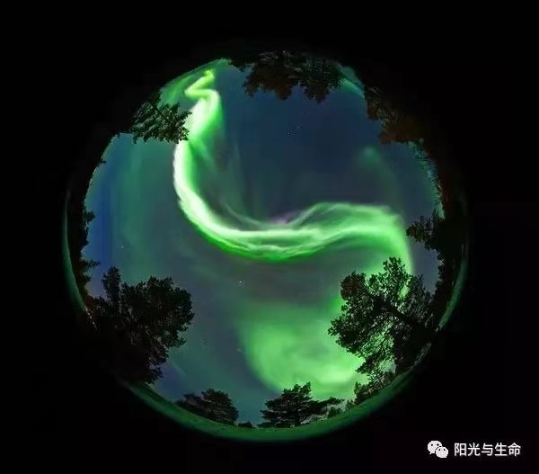 1617853217692094273.jpg 寰俊鍥剧墖_20210408113552.jpg