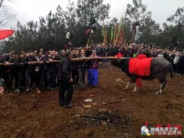 1617937619712065583.jpg 寰俊鍥剧墖_20210409110527.jpg