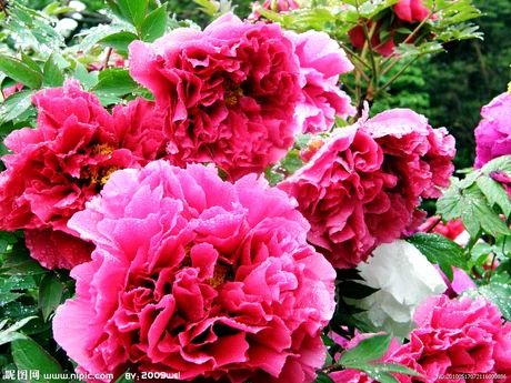 t015615483bed439a2b.