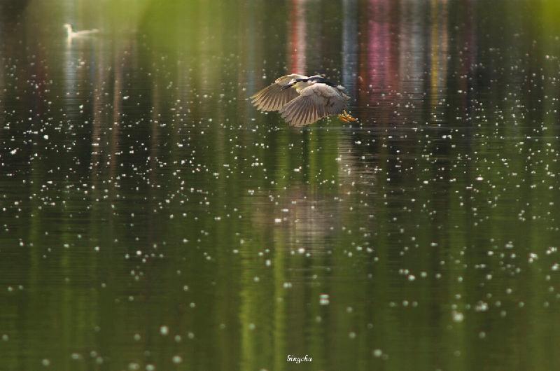 photo.tuchong.