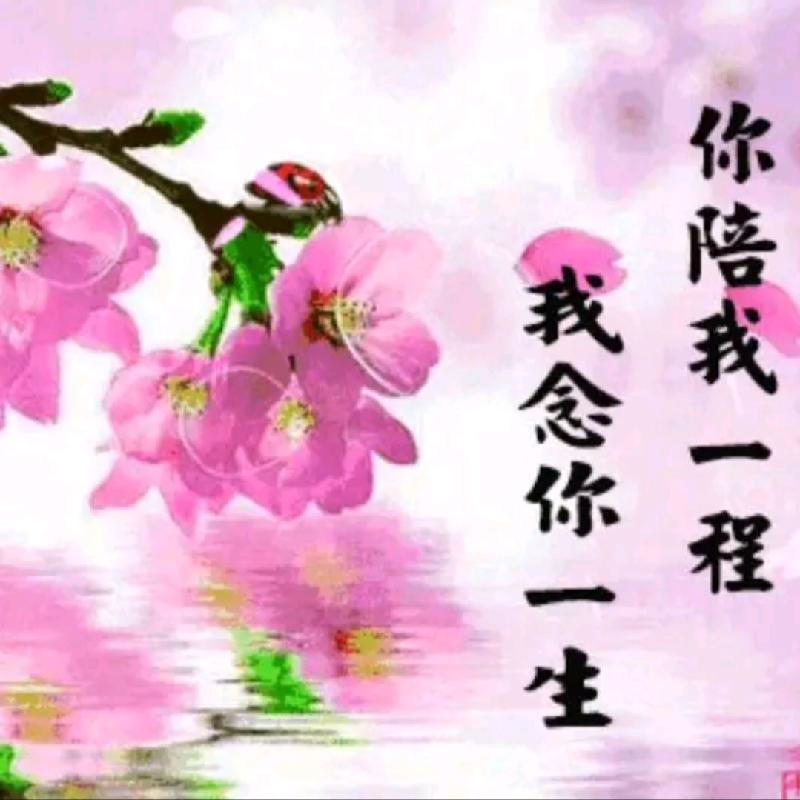 IMG_20210414_070121.