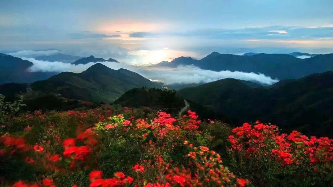 1620004844860016471.jpg src=http_%2F%2Finews.gtimg.com%2Fnewsapp_match%2F0%2F11319093109%2F0.jpg&refer=http_%2F%2Finews.gtimg.jpg