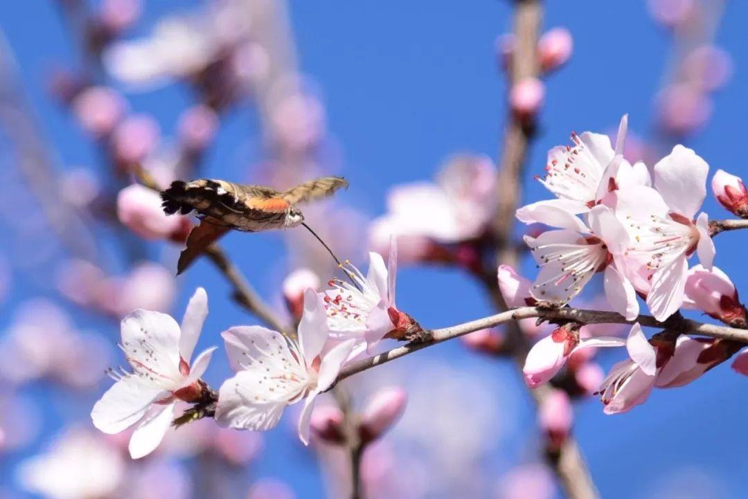 1620004721739098925.jpg src=http_%2F%2F5b0988e595225.cdn.sohucs.com%2Fimages%2F20190315%2F629b126a0b424e26ab1df6a1a80f9c57.jpeg&refer=http_%2F%2F5b0988e595225.cdn.sohucs.jpg