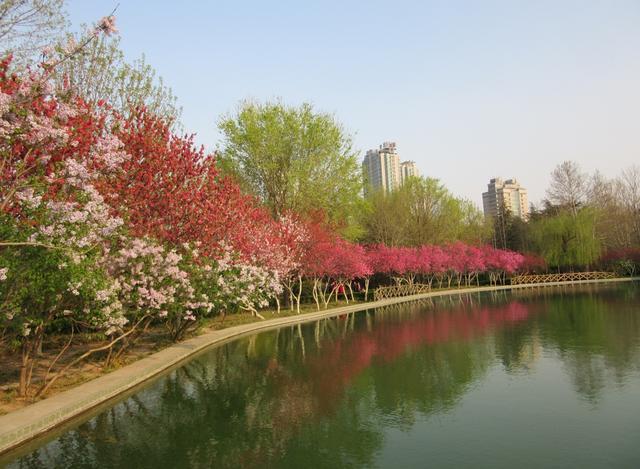 1620004326648033808.jpg src=http_%2F%2F5b0988e595225.cdn.sohucs.com%2Fimages%2F20190422%2F1e3614b5bedf4ba8add0cfa42af17fcc.jpeg&refer=http_%2F%2F5b0988e595225.cdn.sohucs.jpg