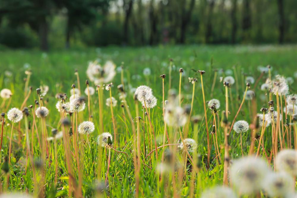 1624152797089081607.jpg src=http_%2F%2Fimg.pconline.com.cn%2Fimages%2Fupload%2Fupc%2Ftx%2Fphotoblog%2F1605%2F25%2Fc10%2F21970705_1464181042495.jpg&refer=http_%2F%2Fimg.pconline.com.jpg