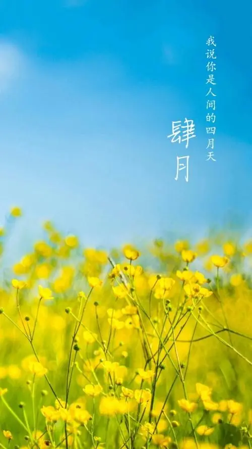 e19ed985bb25fd9cdaea9ae544ec153.png