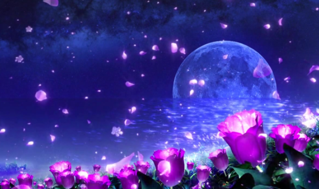 164609318.png image.png