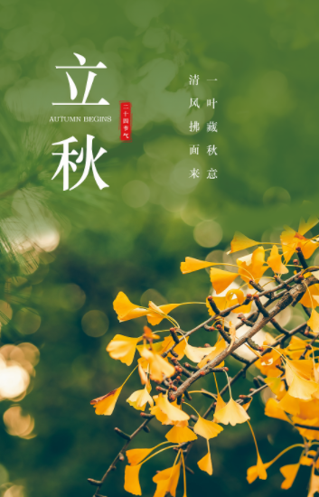051004575.png image.png