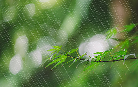 春天雨水图片素材-正版创意图片500850985-摄图网