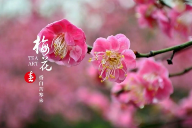 054706079.png image.png