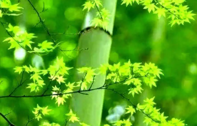 055000986.png image.png