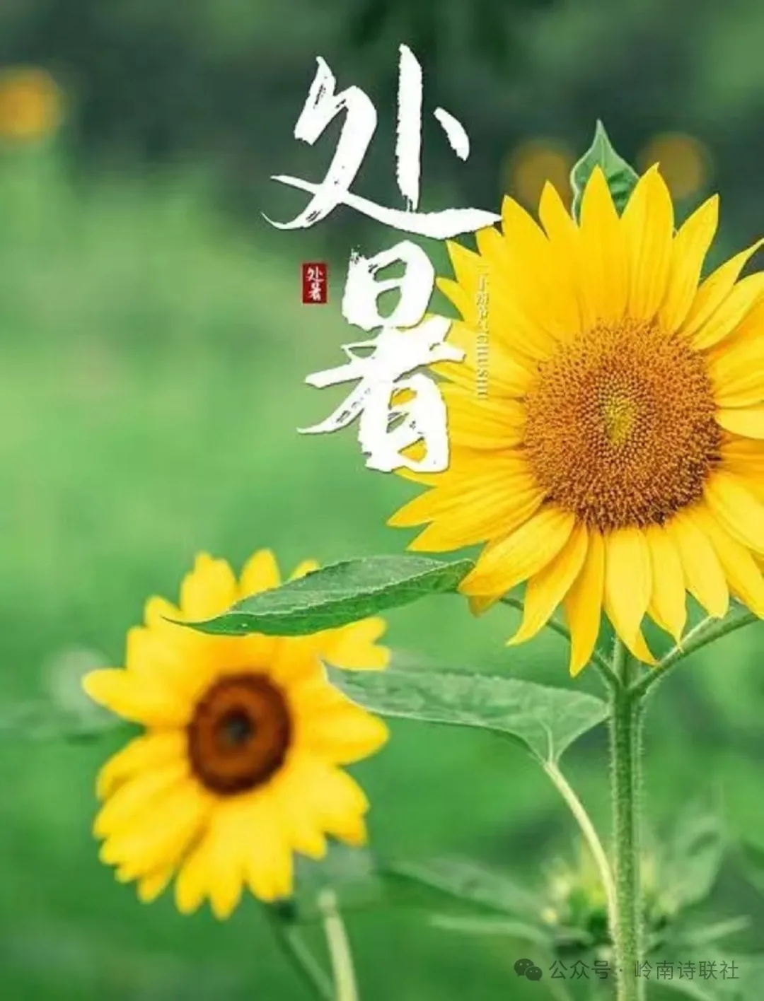 12d4ed3d0ebcb57b38c1b94e03e5a2e4_640_wx_fmt=jpeg&from=appmsg&tp=webp&wxfrom=5&wx_lazy=1&wx_co=1.webp