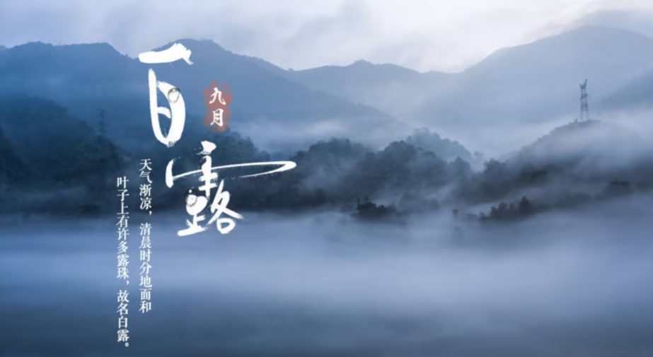 054604046.png image.png