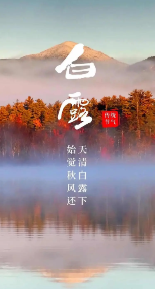054806244.png image.png