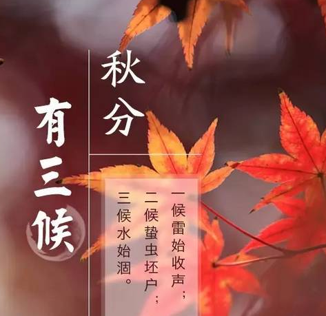 052401788.png image.png