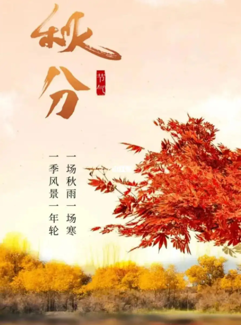 052900396.png image.png