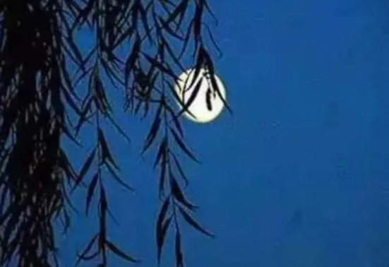 220104295.png image.png